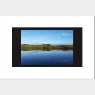 Trees and Blue Sky Reflections in Water Posters and Art